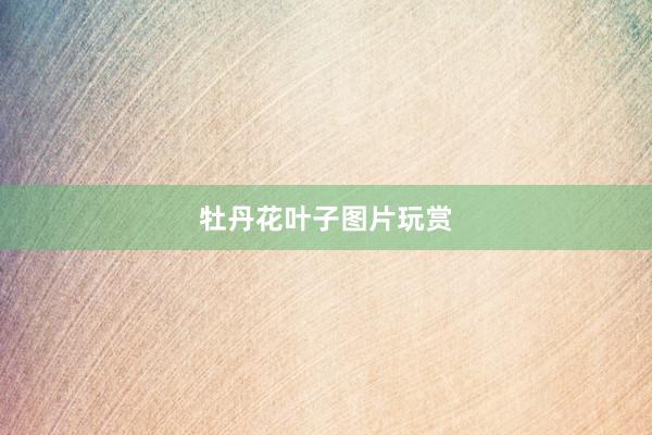牡丹花叶子图片玩赏
